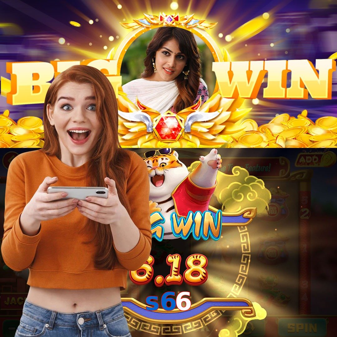 s66