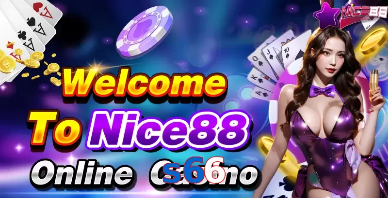 s66