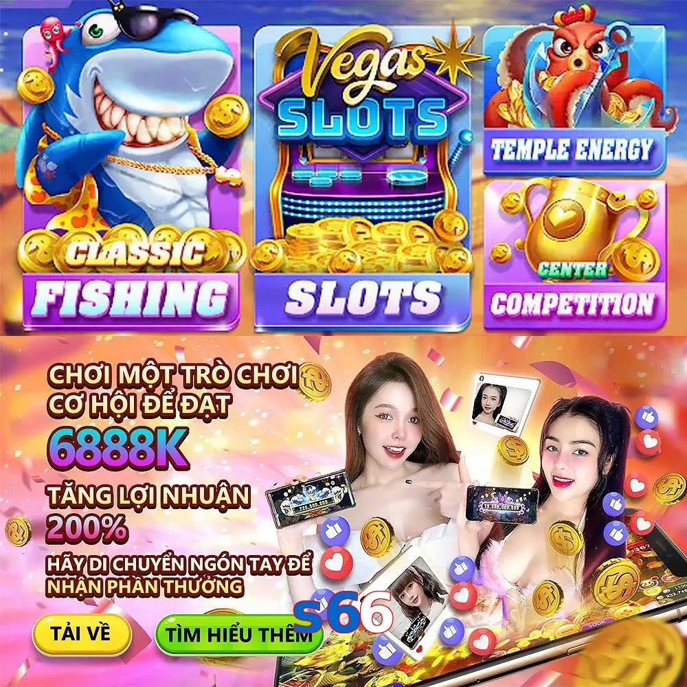 s66