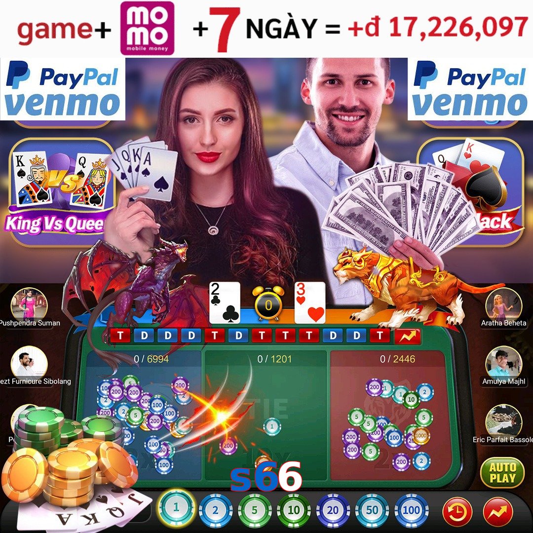 s66