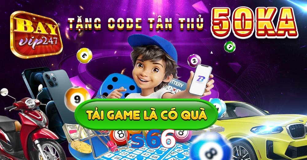 s66