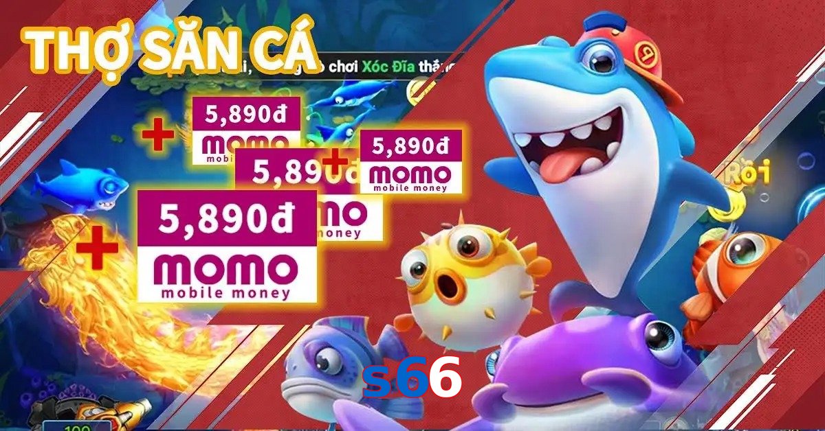 s66
