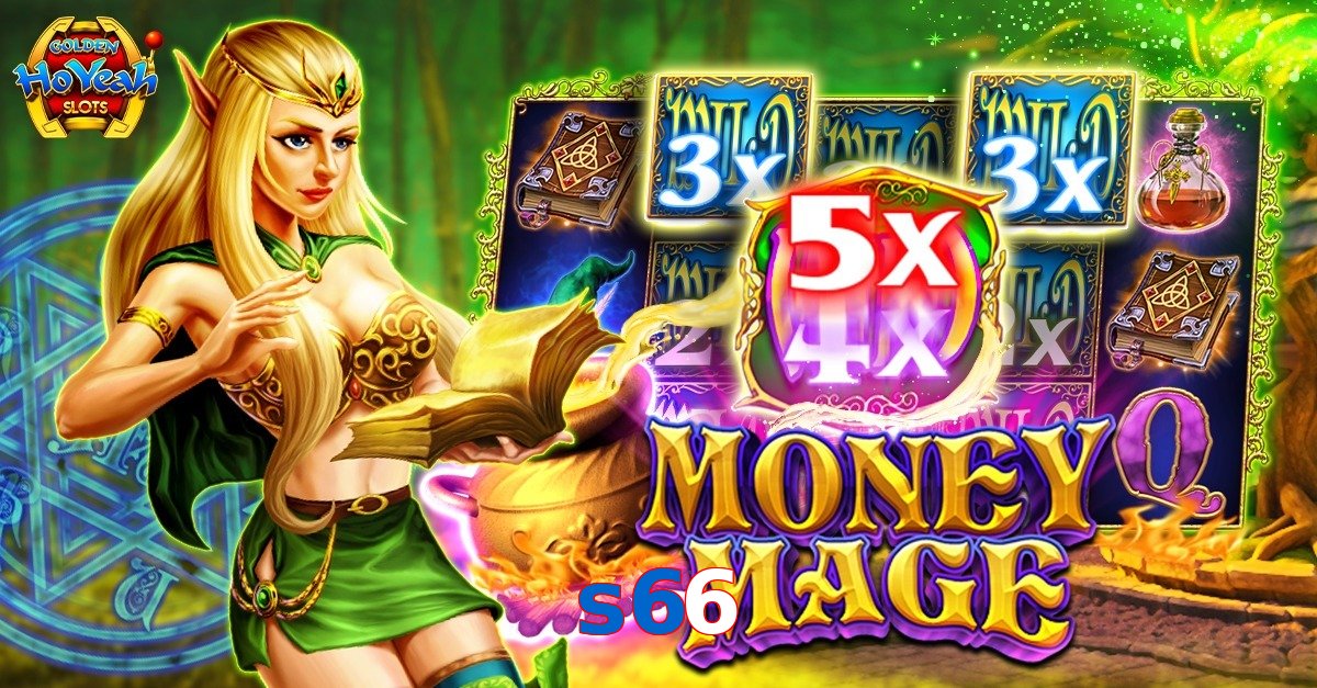 s66