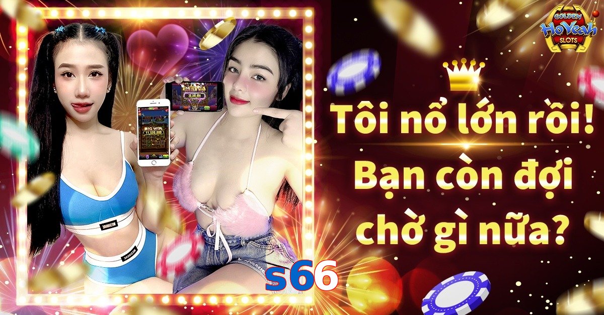 s66