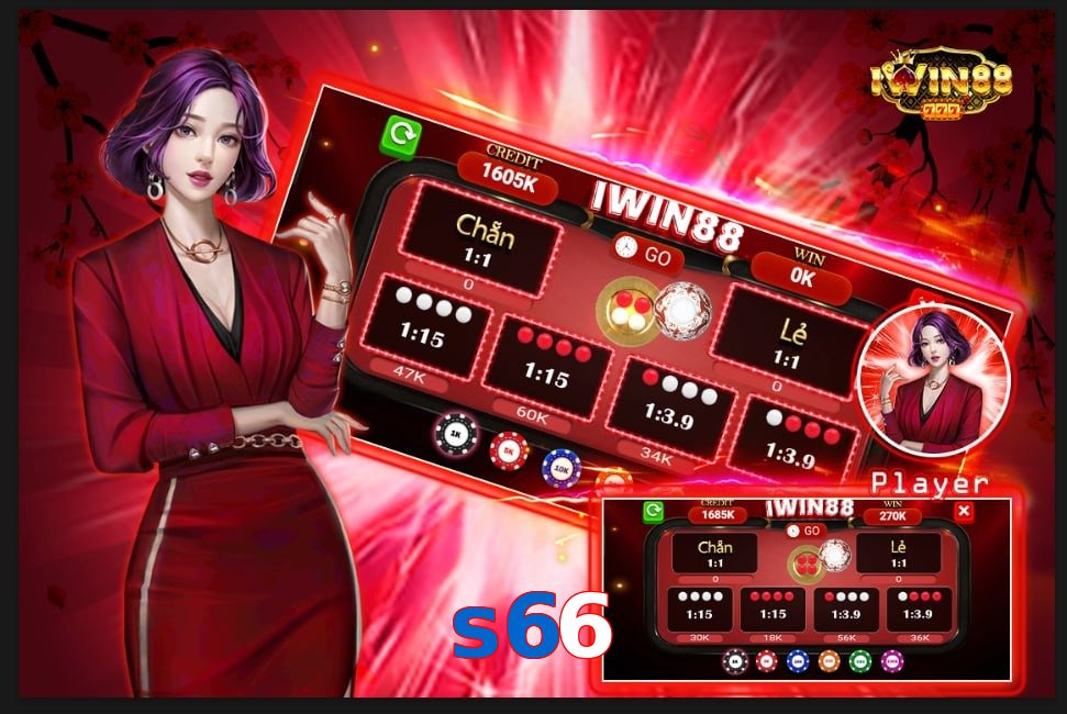 s66