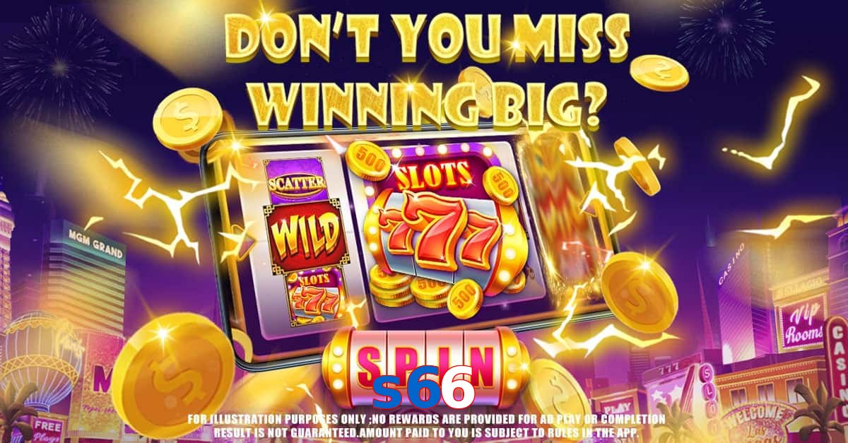 s66