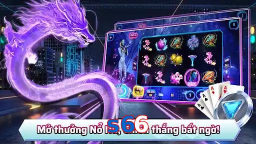 s66