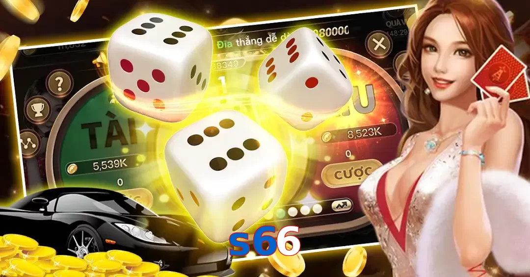 s66