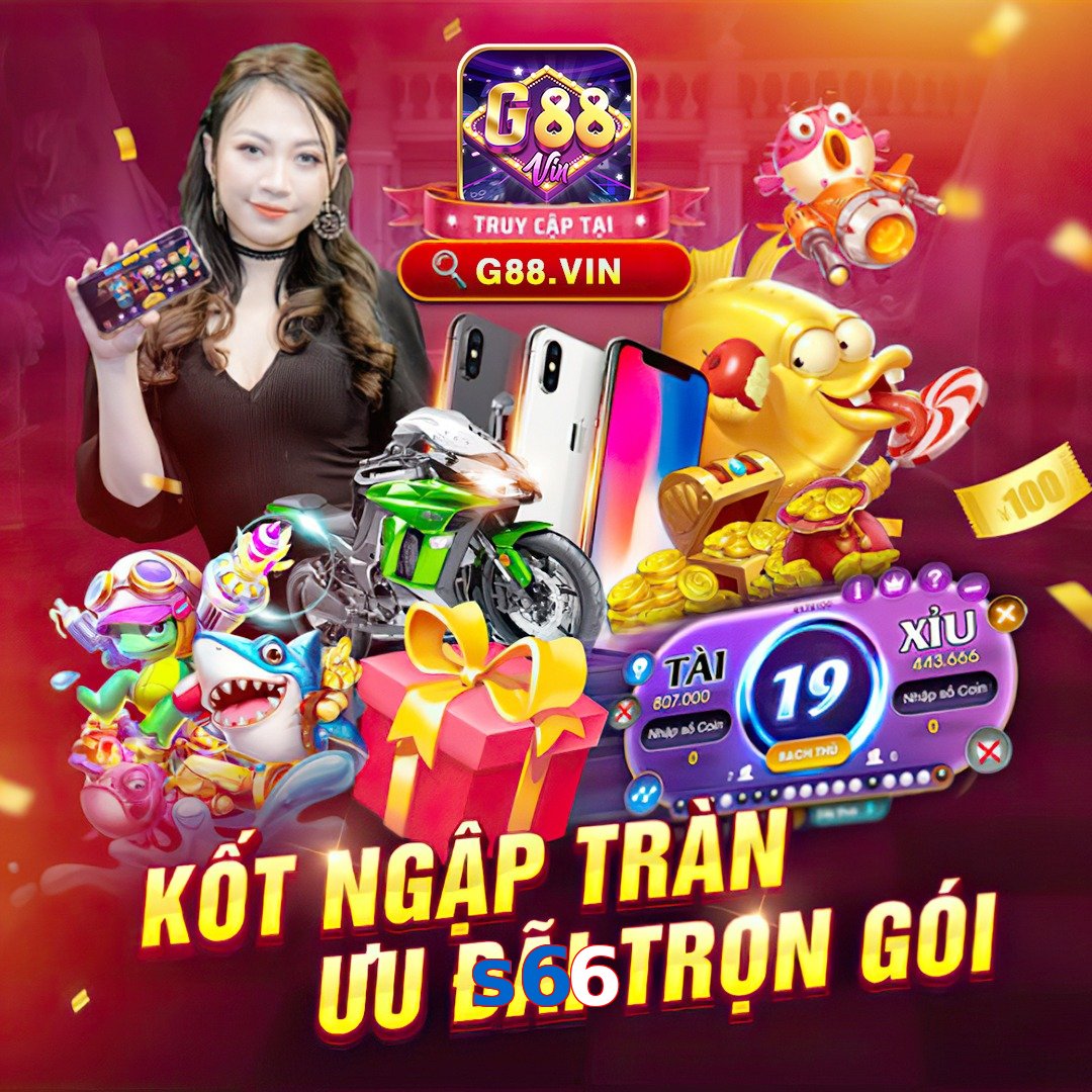 s66