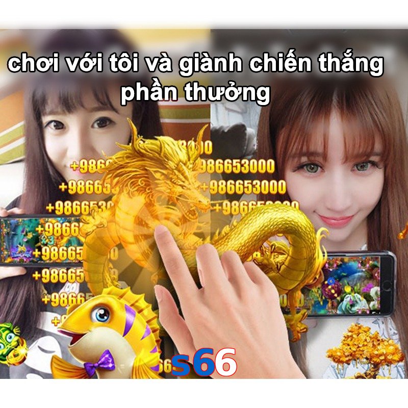 s66
